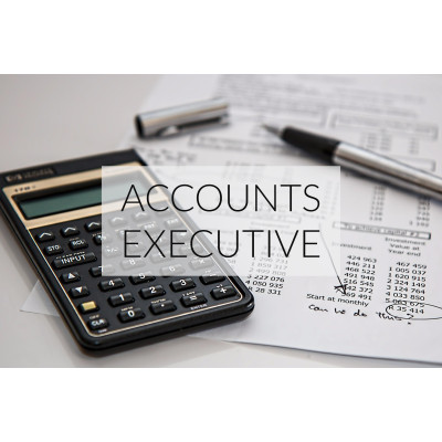 Accounts Executive
