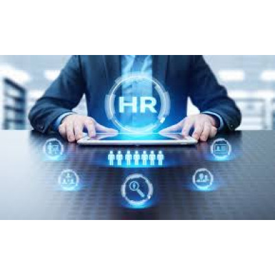 HR Executive